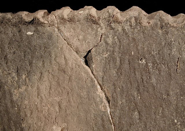 Close-up of Keyser pie crust rim sherd from Delaware site 7-KF-12/30-Courtesy of the Delaware State Museums.